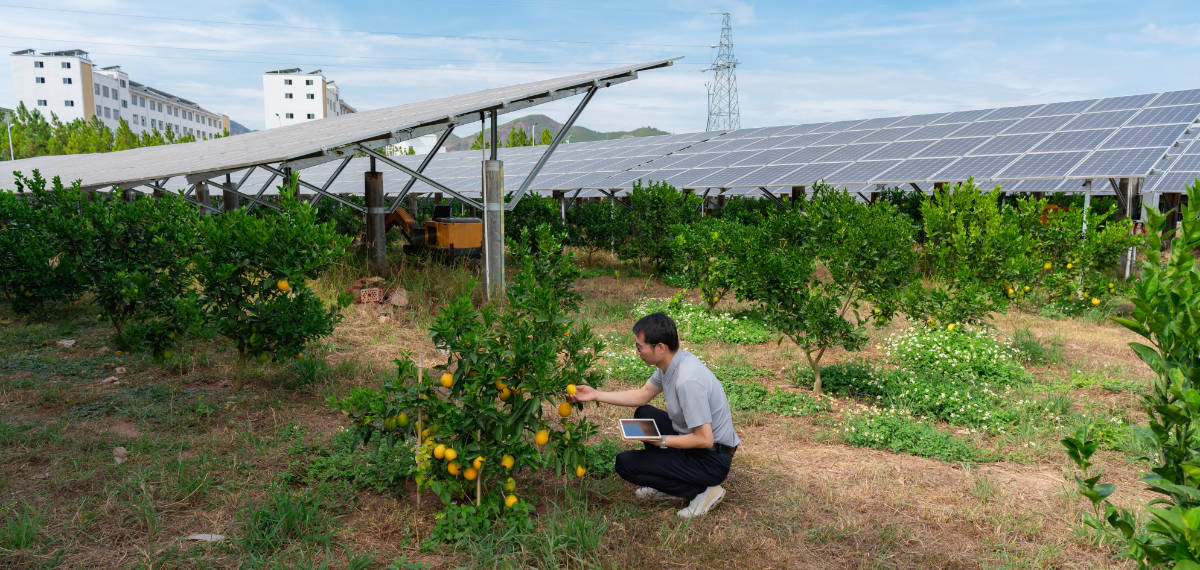 Monitoraggio Fotovoltaico: perché è cruciale per la tua azienda?